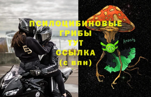 экстази Рославль
